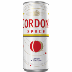 GORDONS SPACE 250ML